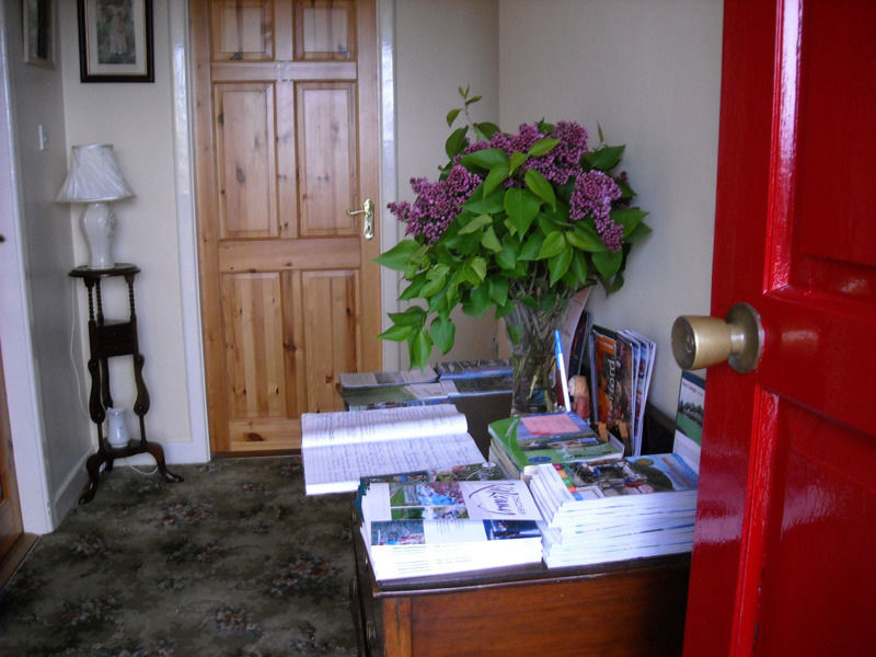 The Bungalow Farmhouse Clomantagh Buitenkant foto