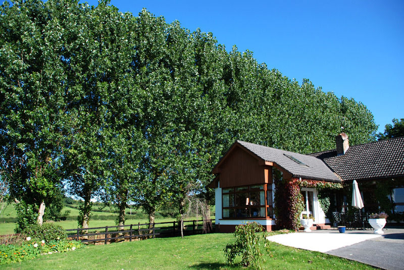 The Bungalow Farmhouse Clomantagh Buitenkant foto