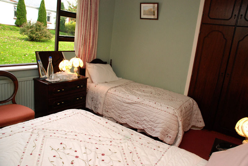 The Bungalow Farmhouse Clomantagh Buitenkant foto